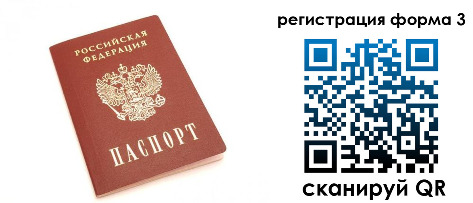 регистрация в Курской области